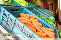 G_0000_VEGETALES